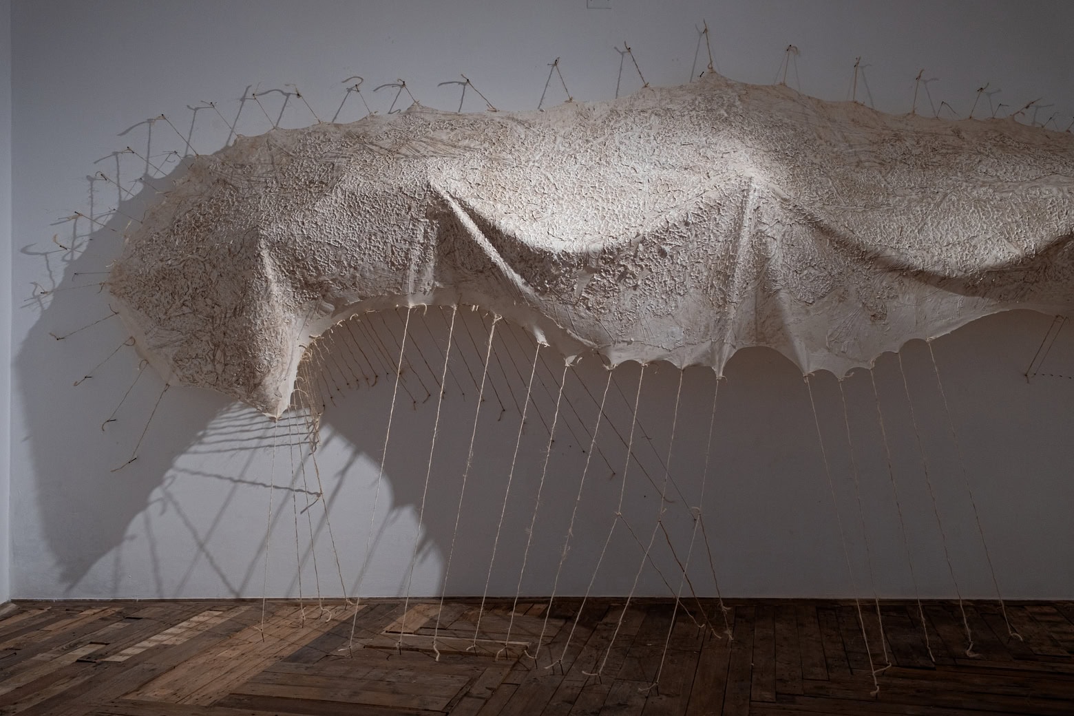 5Opera grande dettaglio