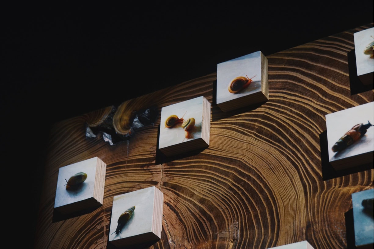 Processed with VSCO with al2 preset