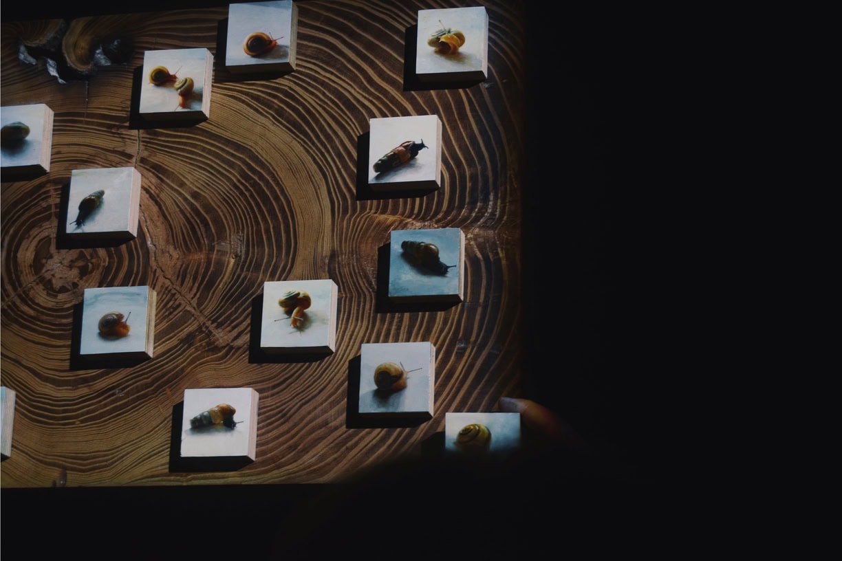 Processed with VSCO with al2 preset