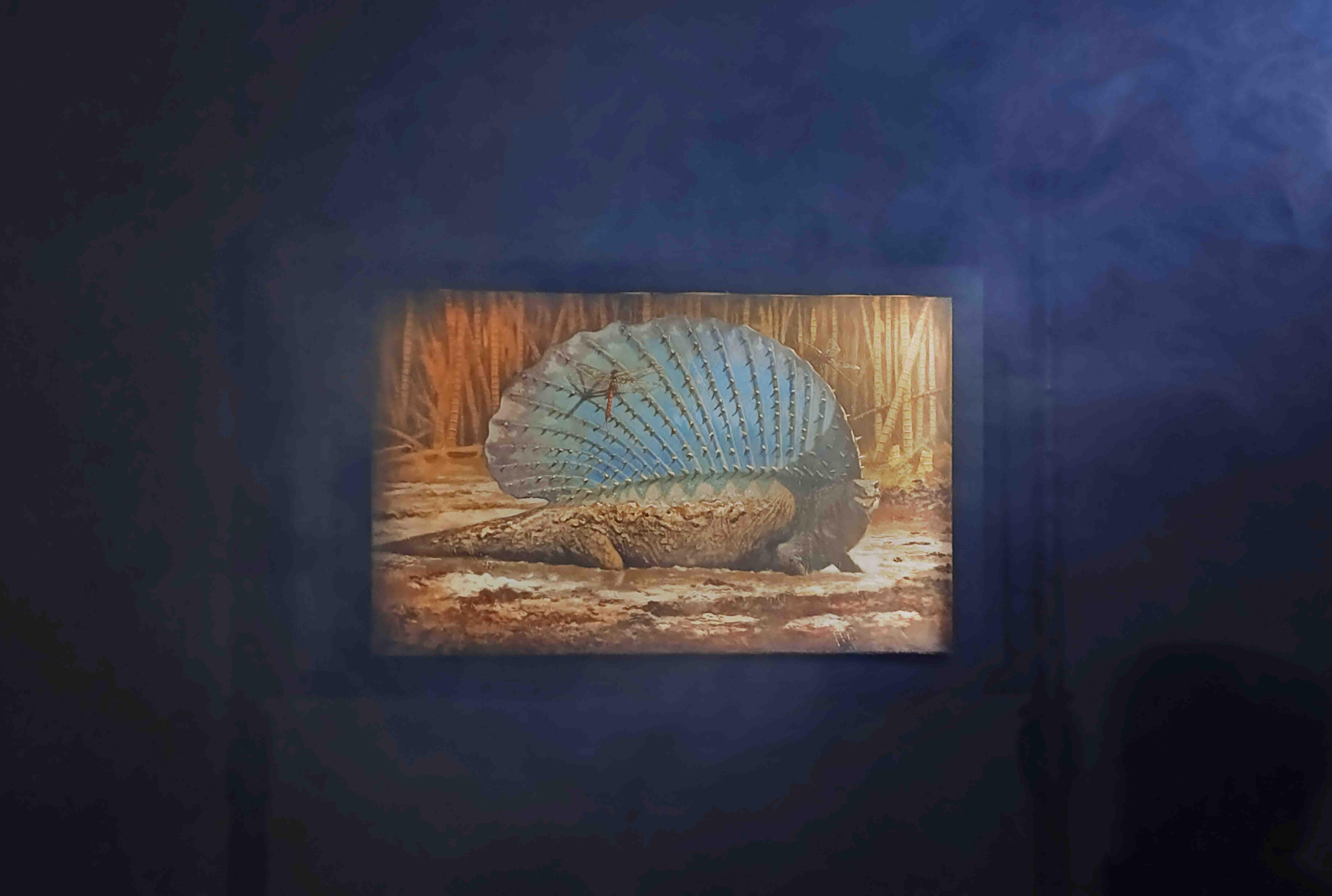 Troco Pilastri (2 of 2)